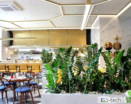 novoe-bistro-ot-azbuki-vkusa-v-zdanii-smolenskogo-gastronoma-2